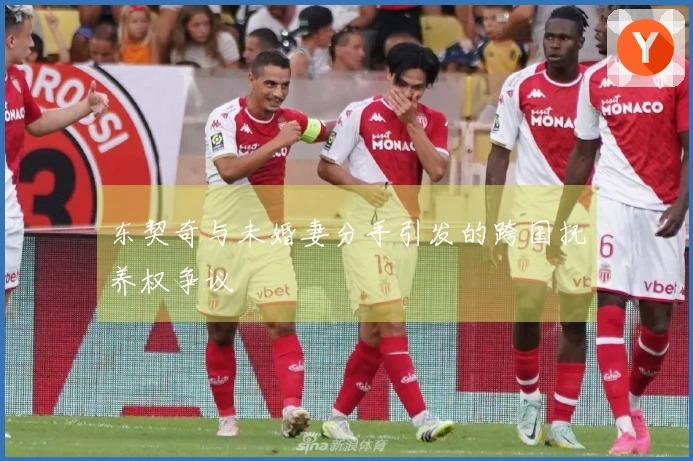 东契奇与未婚妻分手引发的跨国抚养权争议